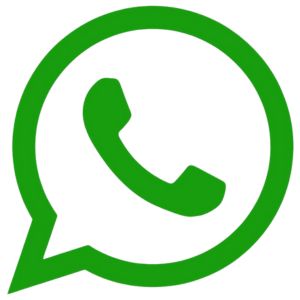 whatsapp dinkes Barito Timur